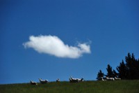 /album/%e3%83%95%e3%82%a9%e3%83%88%e3%82%ae%e3%83%a3%e3%83%a9%e3%83%aa%e3%83%bc/%ef%bd%8e%ef%bd%9a%e5%86%99%e7%9c%9f-024-jpg/