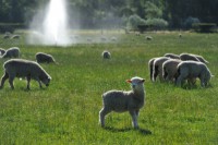 /album/%e3%83%95%e3%82%a9%e3%83%88%e3%82%ae%e3%83%a3%e3%83%a9%e3%83%aa%e3%83%bc/%ef%bd%8e%ef%bd%9a%e5%86%99%e7%9c%9f-025-jpg/