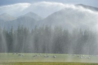 /album/%e3%83%95%e3%82%a9%e3%83%88%e3%82%ae%e3%83%a3%e3%83%a9%e3%83%aa%e3%83%bc/%ef%bd%8e%ef%bd%9a%e5%86%99%e7%9c%9f-026-jpg/