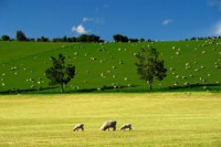 /album/%e3%83%95%e3%82%a9%e3%83%88%e3%82%ae%e3%83%a3%e3%83%a9%e3%83%aa%e3%83%bc/%ef%bd%8e%ef%bd%9a%e5%86%99%e7%9c%9f-027-jpg/