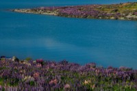 /album/%e3%83%95%e3%82%a9%e3%83%88%e3%82%ae%e3%83%a3%e3%83%a9%e3%83%aa%e3%83%bc/%ef%bd%8e%ef%bd%9a%e5%86%99%e7%9c%9f-061-jpg/