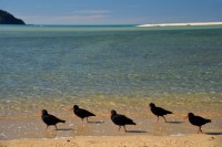 /album/%e3%83%95%e3%82%a9%e3%83%88%e3%82%ae%e3%83%a3%e3%83%a9%e3%83%aa%e3%83%bc/%e3%82%a4%e3%83%a1%e3%83%bc%e3%82%b8-jpg1/