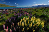 /album/%e3%83%95%e3%82%a9%e3%83%88%e3%82%ae%e3%83%a3%e3%83%a9%e3%83%aa%e3%83%bc/%ef%bd%8e%ef%bd%9a%e5%86%99%e7%9c%9f%e5%b1%95-001-jpg/