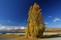 /album/%e3%83%95%e3%82%a9%e3%83%88%e3%82%ae%e3%83%a3%e3%83%a9%e3%83%aa%e3%83%bc/%ef%bd%8e%ef%bd%9a%e5%86%99%e7%9c%9f%e5%b1%95-004-jpg/