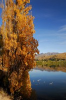 /album/%e3%83%95%e3%82%a9%e3%83%88%e3%82%ae%e3%83%a3%e3%83%a9%e3%83%aa%e3%83%bc/%ef%bd%8e%ef%bd%9a%e5%86%99%e7%9c%9f%e5%b1%95-005-jpg/