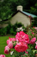 /album/%e3%83%95%e3%82%a9%e3%83%88%e3%82%ae%e3%83%a3%e3%83%a9%e3%83%aa%e3%83%bc/%ef%bd%8e%ef%bd%9a%e5%86%99%e7%9c%9f%e5%b1%95-007-jpg/