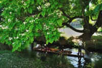 /album/%e3%83%95%e3%82%a9%e3%83%88%e3%82%ae%e3%83%a3%e3%83%a9%e3%83%aa%e3%83%bc/%ef%bd%8e%ef%bd%9a%e5%86%99%e7%9c%9f%e5%b1%95-008-jpg/