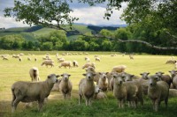 /album/%e3%83%95%e3%82%a9%e3%83%88%e3%82%ae%e3%83%a3%e3%83%a9%e3%83%aa%e3%83%bc/%ef%bd%8e%ef%bd%9a%e5%86%99%e7%9c%9f%e5%b1%95-010-jpg/