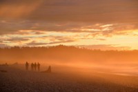 /album/%e3%83%95%e3%82%a9%e3%83%88%e3%82%ae%e3%83%a3%e3%83%a9%e3%83%aa%e3%83%bc/%e3%82%bf%e3%82%b9%e3%83%9e%e3%83%b3%e6%b5%b7%e5%a4%95%e6%99%af-jpg1/