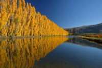 /album/%e3%83%95%e3%82%a9%e3%83%88%e3%82%ae%e3%83%a3%e3%83%a9%e3%83%aa%e3%83%bc/a2-jpg/