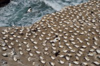 /album/%e3%83%95%e3%82%a9%e3%83%88%e3%82%ae%e3%83%a3%e3%83%a9%e3%83%aa%e3%83%bc/a55-jpg/