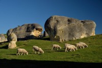 /album/%e3%83%95%e3%82%a9%e3%83%88%e3%82%ae%e3%83%a3%e3%83%a9%e3%83%aa%e3%83%bc/a62-jpg/