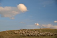 /album/%e3%83%95%e3%82%a9%e3%83%88%e3%82%ae%e3%83%a3%e3%83%a9%e3%83%aa%e3%83%bc/a9-jpg/