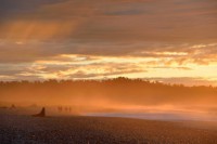 /album/%e3%83%95%e3%82%a9%e3%83%88%e3%82%ae%e3%83%a3%e3%83%a9%e3%83%aa%e3%83%bc/a25-jpg/