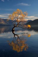 /album/%e3%83%95%e3%82%a9%e3%83%88%e3%82%ae%e3%83%a3%e3%83%a9%e3%83%aa%e3%83%bc/a67-jpg/