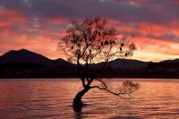 /album/%e3%83%95%e3%82%a9%e3%83%88%e3%82%ae%e3%83%a3%e3%83%a9%e3%83%aa%e3%83%bc/a15-jpg/