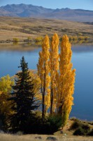 /album/%e3%83%95%e3%82%a9%e3%83%88%e3%82%ae%e3%83%a3%e3%83%a9%e3%83%aa%e3%83%bc/a4-jpg/