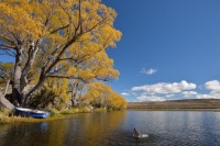 /album/%e3%83%95%e3%82%a9%e3%83%88%e3%82%ae%e3%83%a3%e3%83%a9%e3%83%aa%e3%83%bc/a5-jpg/