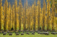 /album/%e3%83%95%e3%82%a9%e3%83%88%e3%82%ae%e3%83%a3%e3%83%a9%e3%83%aa%e3%83%bc/a8-jpg/