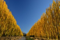 /album/%e3%83%95%e3%82%a9%e3%83%88%e3%82%ae%e3%83%a3%e3%83%a9%e3%83%aa%e3%83%bc/a11-jpg/