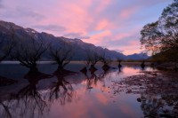 /album/%e3%83%95%e3%82%a9%e3%83%88%e3%82%ae%e3%83%a3%e3%83%a9%e3%83%aa%e3%83%bc/a12-jpg/