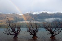 /album/%e3%83%95%e3%82%a9%e3%83%88%e3%82%ae%e3%83%a3%e3%83%a9%e3%83%aa%e3%83%bc/a13-jpg/