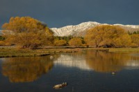 /album/%e3%83%95%e3%82%a9%e3%83%88%e3%82%ae%e3%83%a3%e3%83%a9%e3%83%aa%e3%83%bc/a14-jpg/