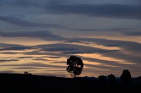 /album/%e3%83%95%e3%82%a9%e3%83%88%e3%82%ae%e3%83%a3%e3%83%a9%e3%83%aa%e3%83%bc/a29-jpg/