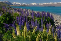 /album/%e3%83%95%e3%82%a9%e3%83%88%e3%82%ae%e3%83%a3%e3%83%a9%e3%83%aa%e3%83%bc/a36-jpg/