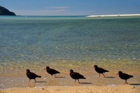 /album/%e3%83%95%e3%82%a9%e3%83%88%e3%82%ae%e3%83%a3%e3%83%a9%e3%83%aa%e3%83%bc/a38-jpg/