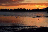 /album/%e3%83%95%e3%82%a9%e3%83%88%e3%82%ae%e3%83%a3%e3%83%a9%e3%83%aa%e3%83%bc/a41-jpg/