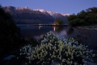 /album/%e3%83%95%e3%82%a9%e3%83%88%e3%82%ae%e3%83%a3%e3%83%a9%e3%83%aa%e3%83%bc/a42-jpg/