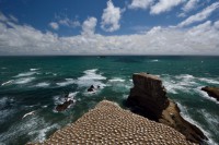 /album/%e3%83%95%e3%82%a9%e3%83%88%e3%82%ae%e3%83%a3%e3%83%a9%e3%83%aa%e3%83%bc/a54-jpg/