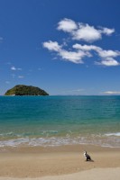 /album/%e3%83%95%e3%82%a9%e3%83%88%e3%82%ae%e3%83%a3%e3%83%a9%e3%83%aa%e3%83%bc/a56-jpg/