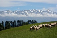 /album/%e3%83%95%e3%82%a9%e3%83%88%e3%82%ae%e3%83%a3%e3%83%a9%e3%83%aa%e3%83%bc/a61-jpg/