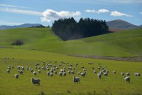 /album/%e3%83%95%e3%82%a9%e3%83%88%e3%82%ae%e3%83%a3%e3%83%a9%e3%83%aa%e3%83%bc/a63-jpg/