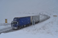 /album/%e3%83%95%e3%82%a9%e3%83%88%e3%82%ae%e3%83%a3%e3%83%a9%e3%83%aa%e3%83%bc/a1809nz-019-jpg/