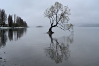 /album/%e3%83%95%e3%82%a9%e3%83%88%e3%82%ae%e3%83%a3%e3%83%a9%e3%83%aa%e3%83%bc/a1809nz-022-jpg/