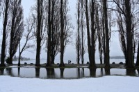 /album/%e3%83%95%e3%82%a9%e3%83%88%e3%82%ae%e3%83%a3%e3%83%a9%e3%83%aa%e3%83%bc/a1809nz-023-jpg/