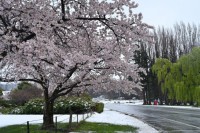 /album/%e3%83%95%e3%82%a9%e3%83%88%e3%82%ae%e3%83%a3%e3%83%a9%e3%83%aa%e3%83%bc/a1809nz-027-1-jpg/